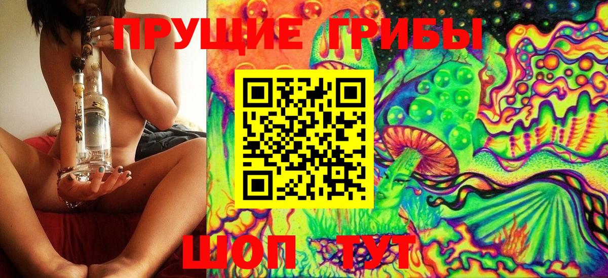 даркнет сайт  Вход с VPN  Партизанск  Псилоцибиновые грибы Psilocybe 